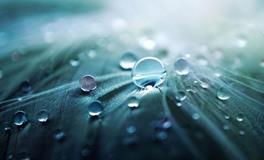 梦到鞋子丢了找鞋子