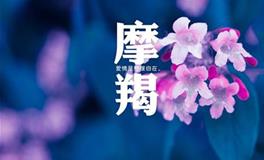 摩羯座成绩排名