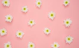 梦见安葬已故亲人