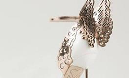 狮子座的专属水晶鞋