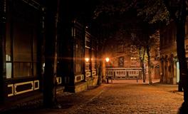 梦见蟑螂预示着什么