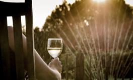 梦见蟑螂爬到身上