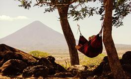 梦见好多蟑螂到处跑