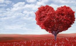 梦见男朋友结婚了新娘不是我