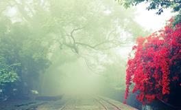 做梦梦到和前男友复合