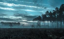 做梦梦到自己很倒霉