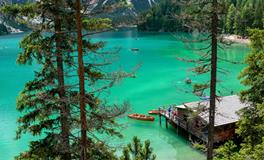 做梦梦到自己能飞