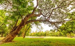 做梦梦到自己没有力气