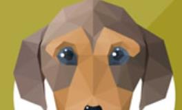 1982年出生的属狗人2020年运势