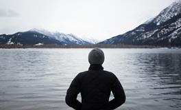 生肖鸡的道歉方法