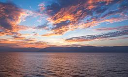 孕妇梦到柿子烂了