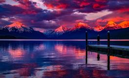 孕妇做梦好多柿子