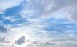 孕妇梦到好多植物