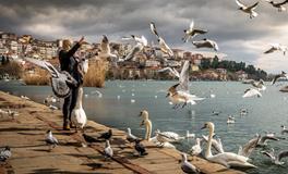 孕妇梦到大蒜发芽