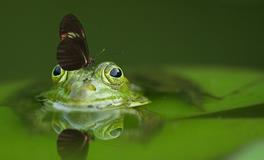 已婚女人梦见自己相亲