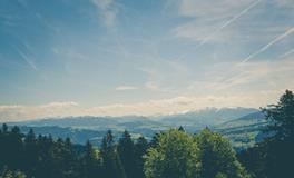 梦到烧香是什么意思