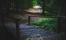 梦见破旧的老房子