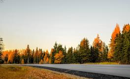 孕妇梦见观音菩萨