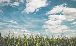 梦见叠被子是什么意思