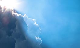 梦见豹子预示着什么