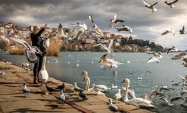 梦见坐电梯是什么意思