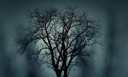 梦到和女朋友亲热