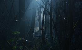 梦见西瓜是什么意思