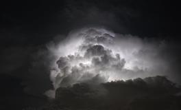 女人梦见好多甘蔗