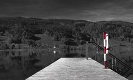 做梦梦见猪是什么意思