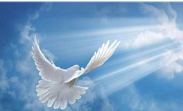 狮子座最擅长的学科