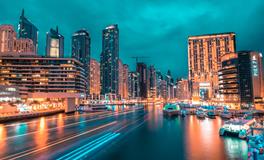 男人做梦梦见猫