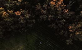 梦见自己想念的男人