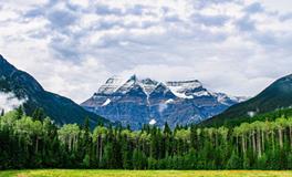 梦到被打是什么意思