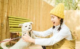 是什么挡住了12星座的事业运？