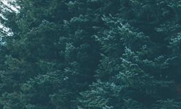 梦见与陌生女人发性关系