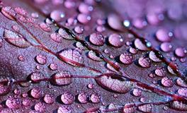 梦到醒不来的梦