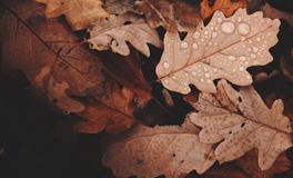 做梦梦到吐口水