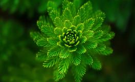 梦见儿子头部受伤流血