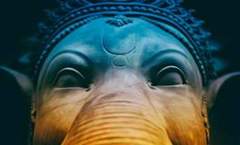 梦到狗把手咬出血