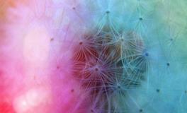 梦到自己变老了