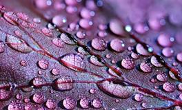 梦到光脚走路什么意思