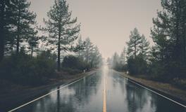 梦见和好朋友吵架翻脸