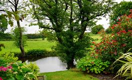 梦见和情人吵架是什么意思