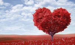 梦见爱人死了是什么意思