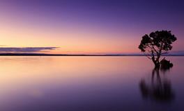 梦见前世的自己和爱人