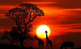 梦见自己犯罪了