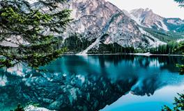 梦到同事被杀了