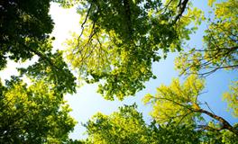 梦见原来的领导