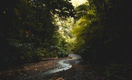 梦到和自己喜欢的人在一起了