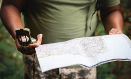 梦到仙人球是什么意思